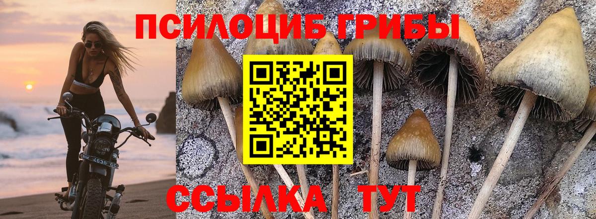 Тельмана  Псилоцибиновые грибы Magic Shrooms  Вход с VPN 